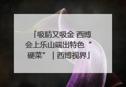 吸睛又吸金 西博会上乐山端出特色“硬菜”｜西博视界